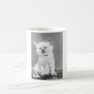 Mug avec un chaton mignon