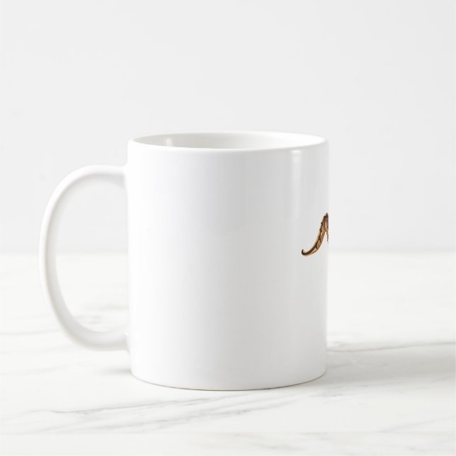 Mug B est pour Ball Python (Gauche)