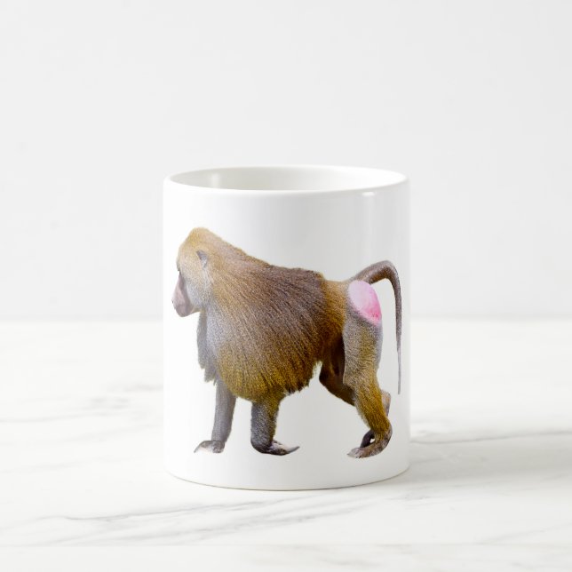 Mug Baboon isolé autocollant carré de la carte postale (Centre)