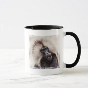 Mug Babouin gelada, Éthiopie