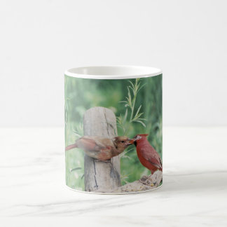 Mug Baisers des cardinaux