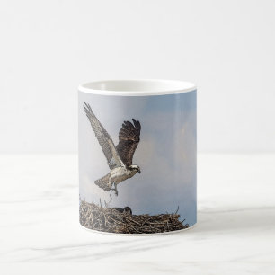 Mug Balbuzard dans un nid