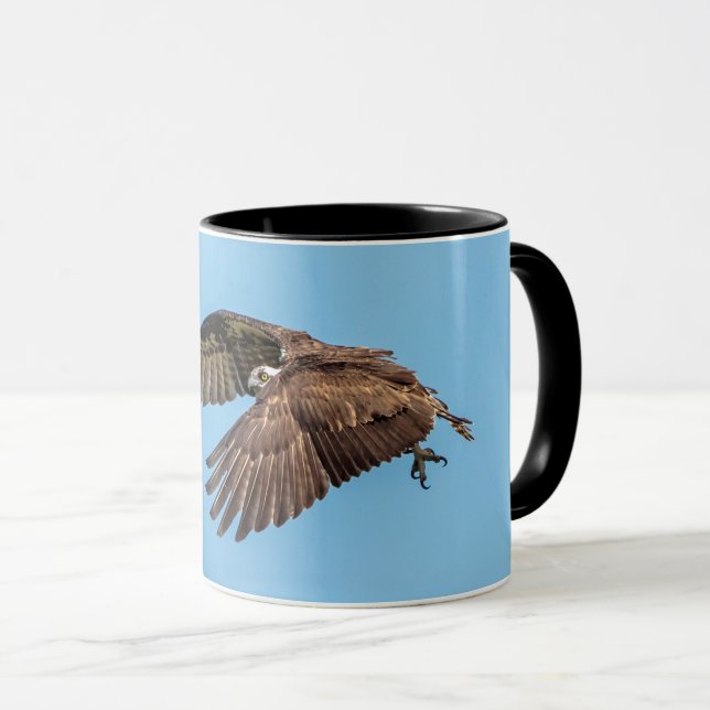 Mug Balbuzard pêcheur en vol au Honeymoon Island State (Devant droit)