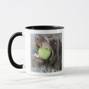 Mug Balle de tennis acérée de chien d'indicateur, plan