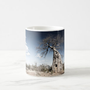 Mug Baobab dans le parc national des piscines de Mana,