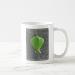 Mug Barringtonia Acutangula