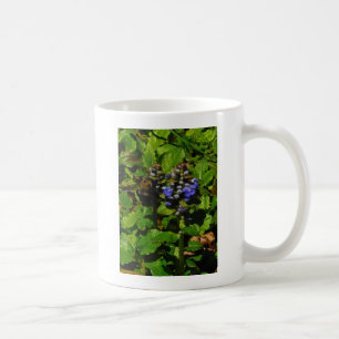 Mug Baume d'abeille pourpre et bourdon