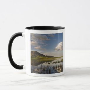 Mug Bear Butte se reflète dans le lac Bear Butte, pr