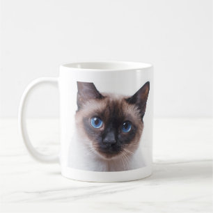 Mug Beau chat siamois