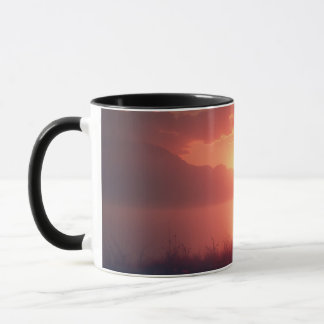 Mug beau décor / amour sans fin
