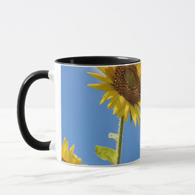 Mug beautiful sun flowers witcloudy sky (Gauche)