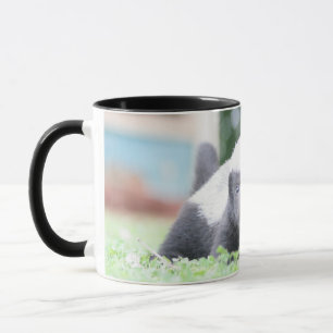 Mug Bébé blaireau au miel sur l'herbe verte photo