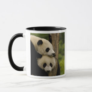 Mug Bébés pandas géants (Ailuropoda melanoleuca)