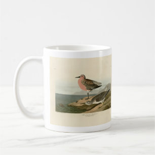 Mug Bécasseau à poitrine rouge, Oiseaux d'Amérique d'A
