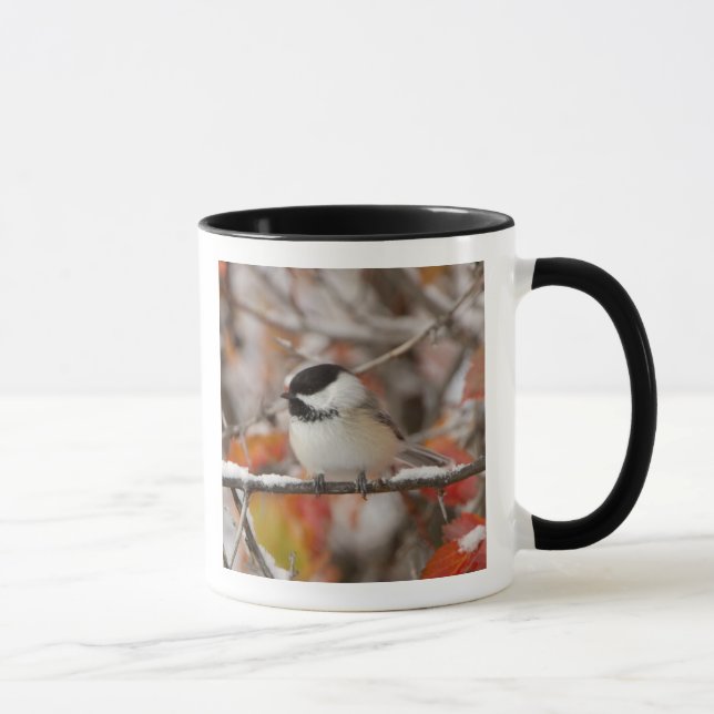 Mug Bécasseau noir adulte en neige (Droite)