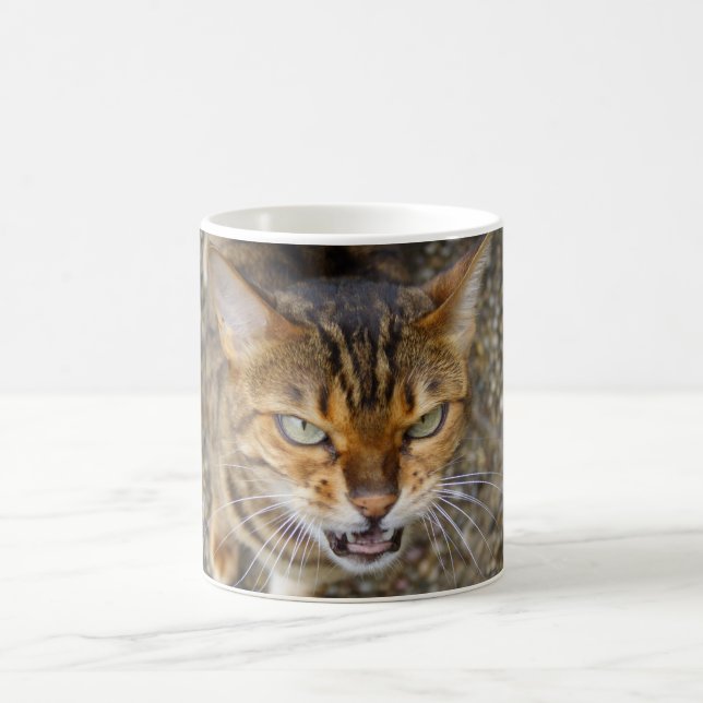 Mug Belle Chat Bengale (Centre)