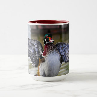 Mug Belle frapper Bois Canard Floride Photographie
