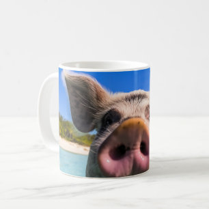 Mug Belle natation Cochon Exuma Bahamas