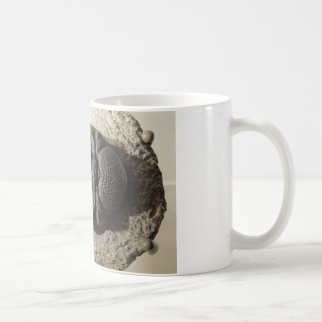 Mug Belle photo de fossile de trilobite de Phacops (Droite)