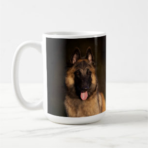 Mug Berger belge de Tervuren