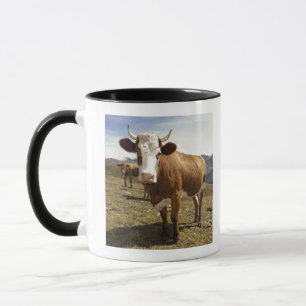 Mug Bétail