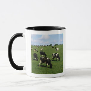 Mug Bétail de frison du Holstein, Irlande