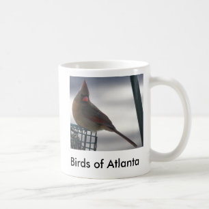 Mug bird5, oiseaux d'Atlanta