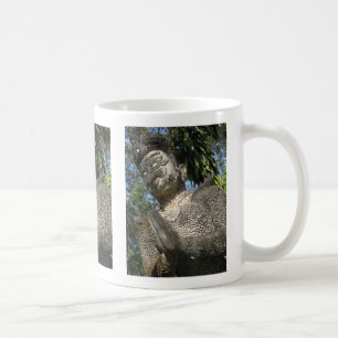 Mug Birdman Wai ... Nong Khai, Isaan, Thaïlande