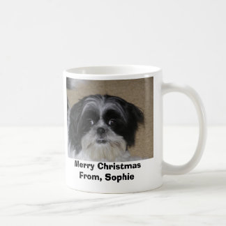 Mug biscuits, obtention du diplôme, vacances de