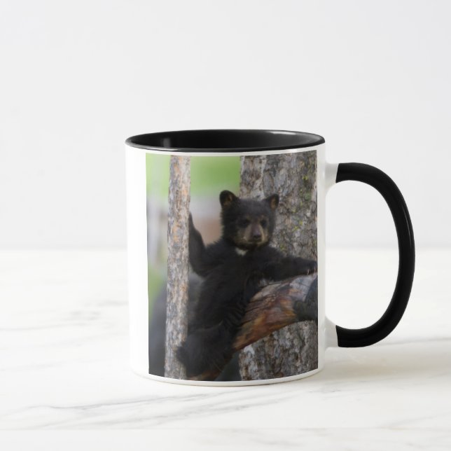 Mug Black Bears Cub Lounge (Droite)