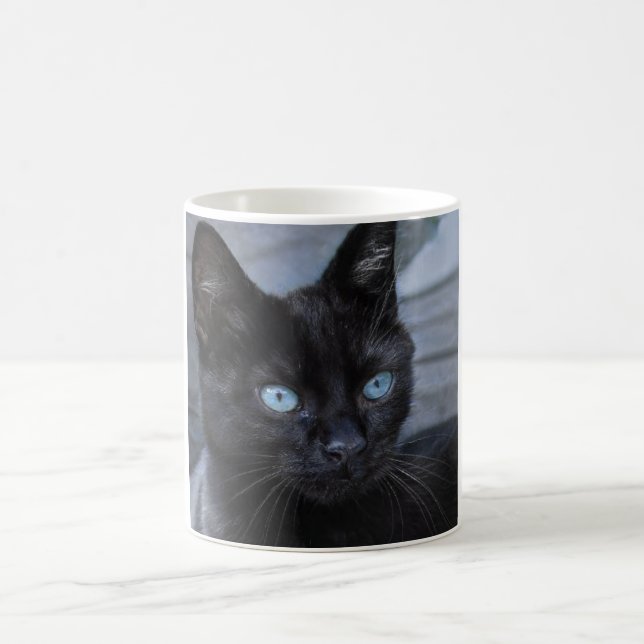 Mug Black chat bleu yeux beauté (Centre)