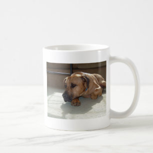 Mug blackmouth cur couché