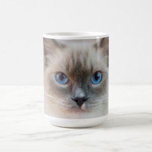 Mug Bleu Ragdoll