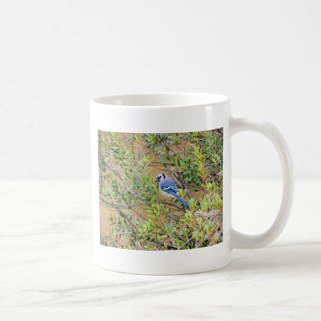 Mug Blue Jay sur Southern Wax Myrtle (Droite)