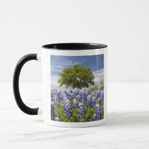 Mug Bluebonnets du Texas (lupinus texensis) et chêne