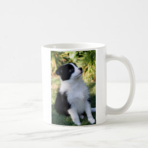 Mug Border collie