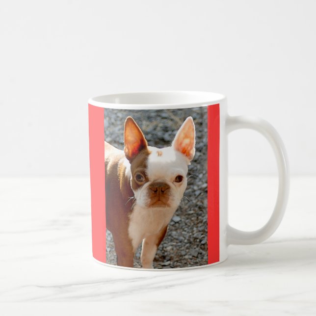 Mug Boston Terrier w/Name (Droite)