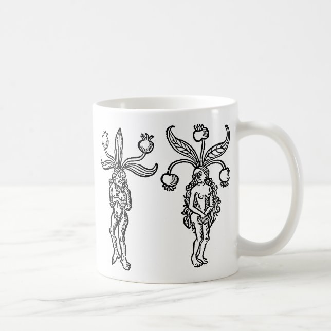 Mug Botanique : Mandragore, 1476 (Droite)