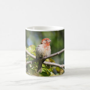 Mug Bouchon de la maison