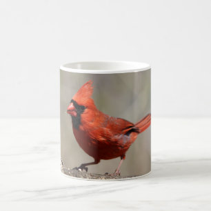 Mug Boue cardinale