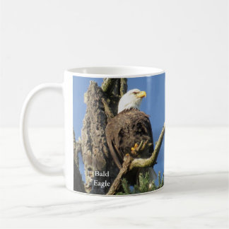 Mug Bouge de café Bald Eagle par Birding Collectibles