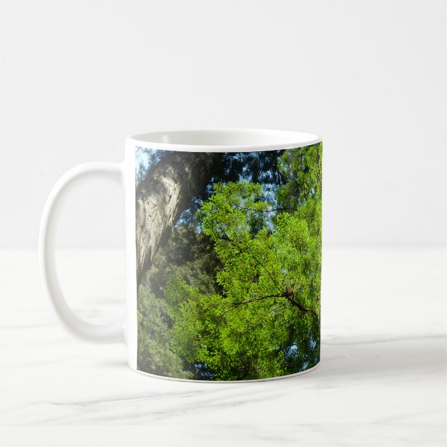 Mug Boughs de séquoia dans le parc national Redwood (Gauche)