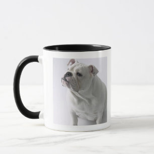 Mug Bouledogue anglais blanc se reposant dans le