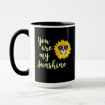 Boxer à soleil