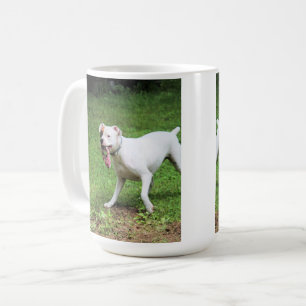Mug Boxeur