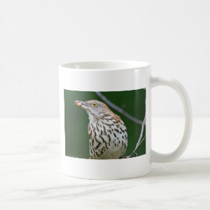 Mug Brown Thrasher avec / Catch Of The Day Cadeaux Vêt