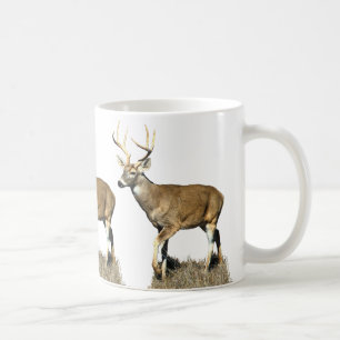 Mug Buck White Tailed