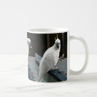 Mug Cacatoès au petit déjeuner