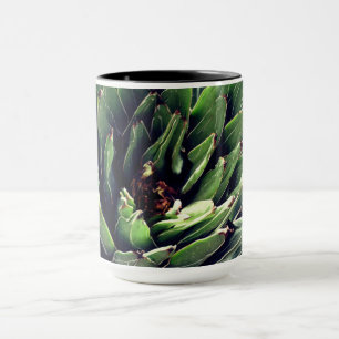 Mug Cactus, Cactus Plantes