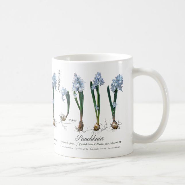 Mug Café de Gardener (Droite)